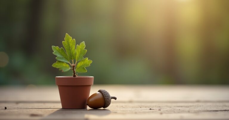 Acorn beside a small potted oak sapling